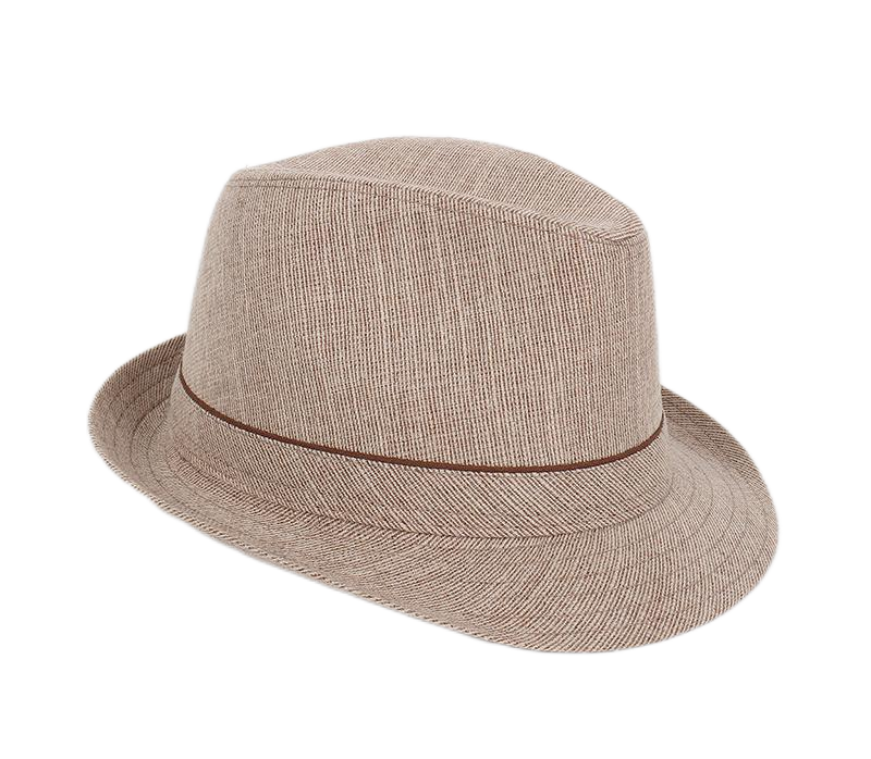 Spring&Autumn Men Fedoras  Top - Fedora Hat Wool recension och pris